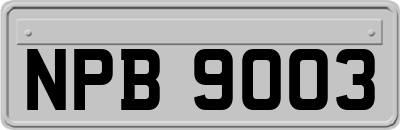 NPB9003