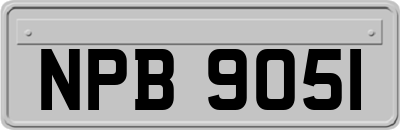 NPB9051