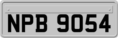 NPB9054