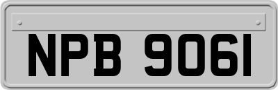 NPB9061