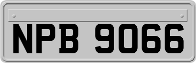NPB9066
