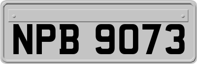 NPB9073