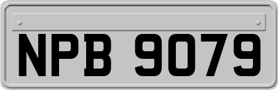 NPB9079