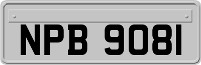 NPB9081