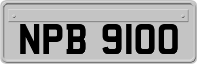 NPB9100