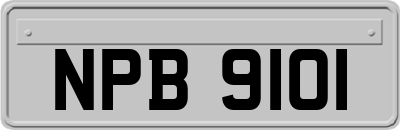 NPB9101