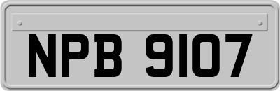 NPB9107