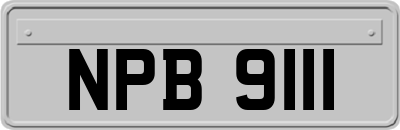 NPB9111
