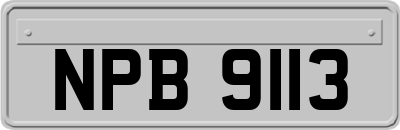 NPB9113