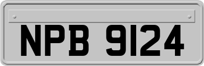 NPB9124