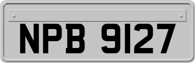 NPB9127