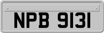 NPB9131