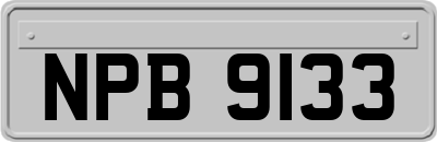 NPB9133