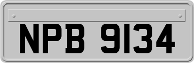 NPB9134