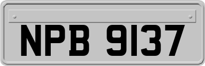 NPB9137