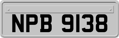 NPB9138