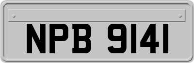NPB9141