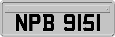 NPB9151