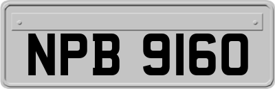 NPB9160