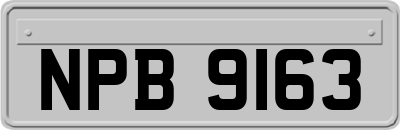 NPB9163