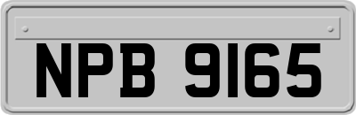 NPB9165