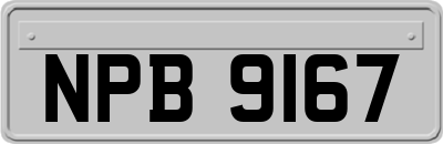 NPB9167