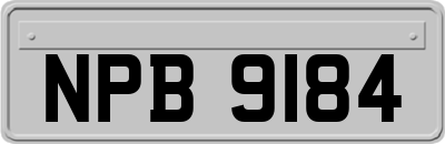 NPB9184