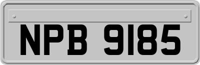 NPB9185