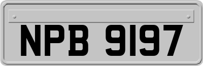 NPB9197