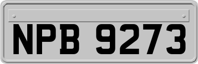 NPB9273