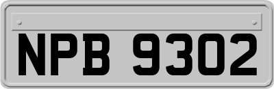 NPB9302