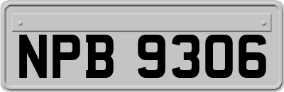 NPB9306