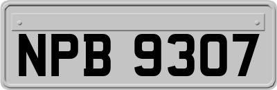 NPB9307