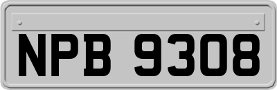 NPB9308