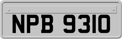 NPB9310