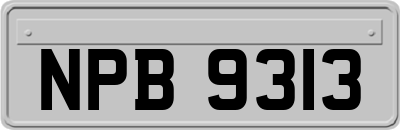 NPB9313