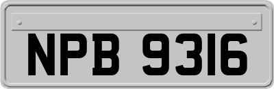 NPB9316