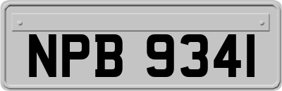 NPB9341