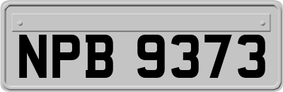 NPB9373