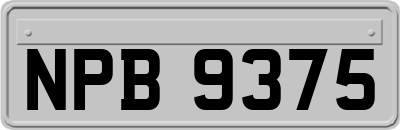 NPB9375
