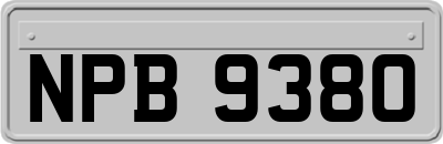 NPB9380