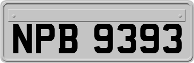NPB9393