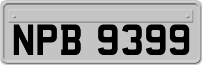 NPB9399