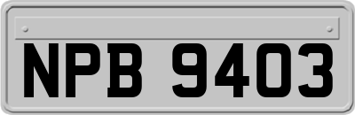 NPB9403