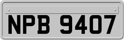 NPB9407