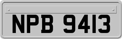 NPB9413