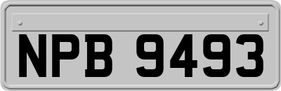 NPB9493