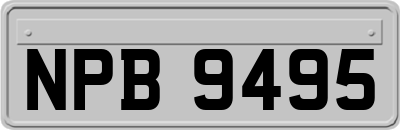 NPB9495