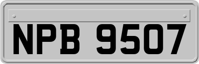 NPB9507