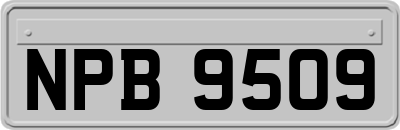 NPB9509